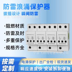 102P 4PT 4P浪涌保护器现货供应避雷器浪涌保护器 E220 飞纳得LKX