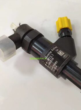 喷油器总成43A1辽宁00新风0.H云501N电喷动喷油嘴16FI内共轨35力