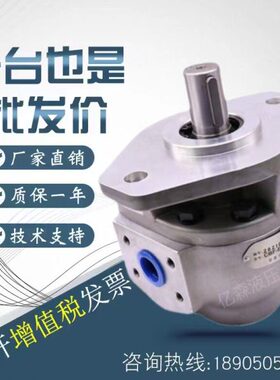 16C040-00//阜齿轮泵/0/新010/55150/60/070B03500250///050200B