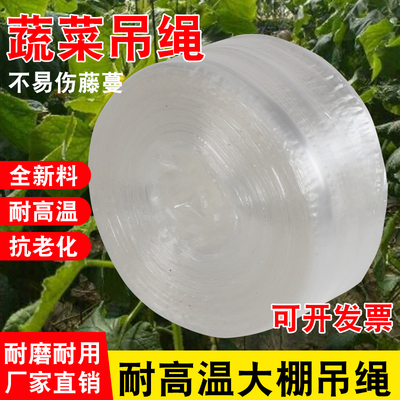 耐高温大棚吊菜绳防老化塑料捆扎绳网状平板吊蔓绳子吊秧绳扎带