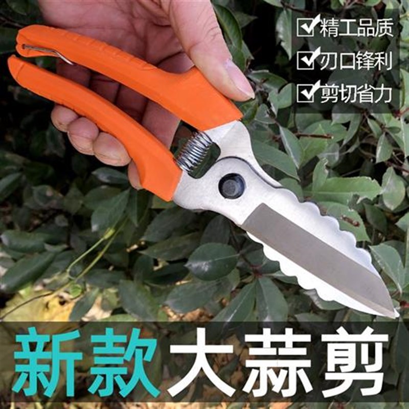 【厂家直销】大蒜专用剪子剪大蒜剪刀农用剪园艺剪刀剪大蒜的剪刀