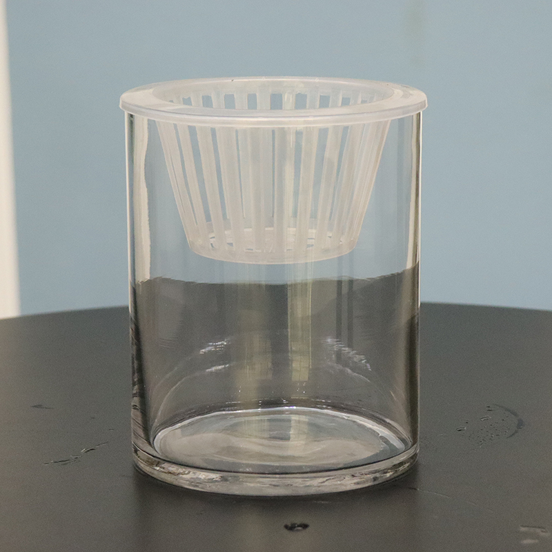 圆柱鱼缸玻璃花瓶水培植r物简约桌面透明加厚插花瓶绿萝水养缸容