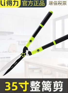 20220617--- 整篱剪---DL580433