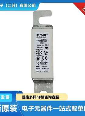 170M8627 170M8629 170M8630 170M8631原厂陶瓷熔断器 保险丝