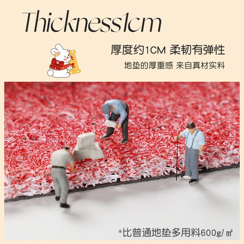 入户门地垫大门口丝圈门垫家用进门脚垫202N2新款兔年喜庆红色地
