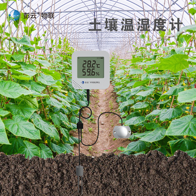 彭云物联 土壤温湿度检测仪农业种植土壤水分传感器光照检测仪