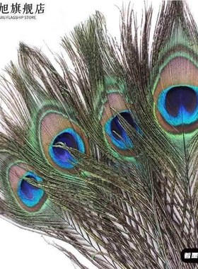 孔雀毛真羽毛家里摆设的装饰品客厅摆件大件插孔雀毛羽毛的花瓶