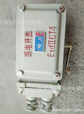 防爆行程开关BLX11LX510-12BLXK501-10LX510-32重锤开关通用