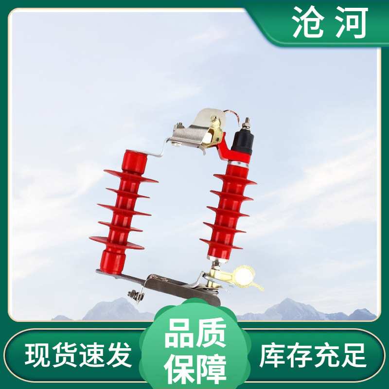 10KV跌落避雷器YH5WS-17/50DL高压可卸式复合氧化锌避雷配电站