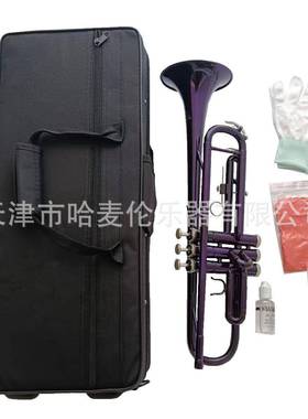 销售哈麦伦彩色小号乐器降B调紫色铜管吹奏专业演奏初学乐队