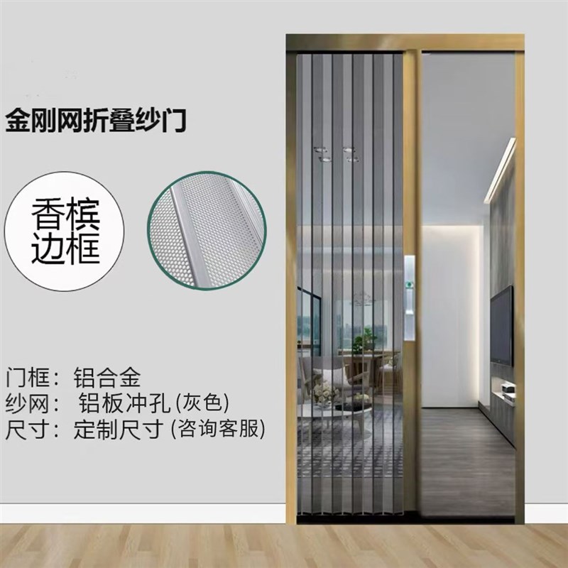 纱门推拉式金刚网加厚高档入户门新款G防蚊门帘折叠纱门免打孔通