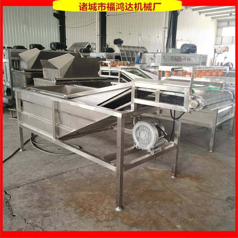 涡流风机鼓泡的鸡爪清洗机气泡果蔬类清洗机净菜流水线,鲜花速递/花卉仿真/绿植园艺,割草机/草坪机,淘宝优惠券,粉丝福利购,淘宝优惠卷