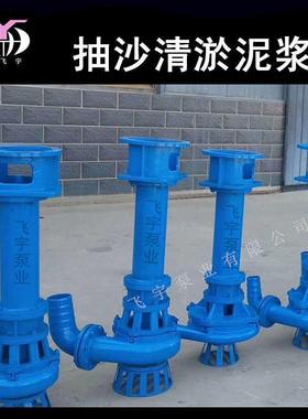 飞宇泵业立式泥沙泵泥浆泵80NSL50-20J船用吸沙泵河道水塘清淤泵