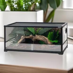 Giangarden巨人爬宠玻璃饲养箱芦丁鸡饲养箱鸡保温箱仓鼠饲养箱