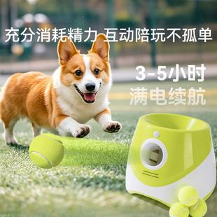 宠物自动发球机狗狗玩具球网球发射器抛球投球机边牧柯基耐咬玩具