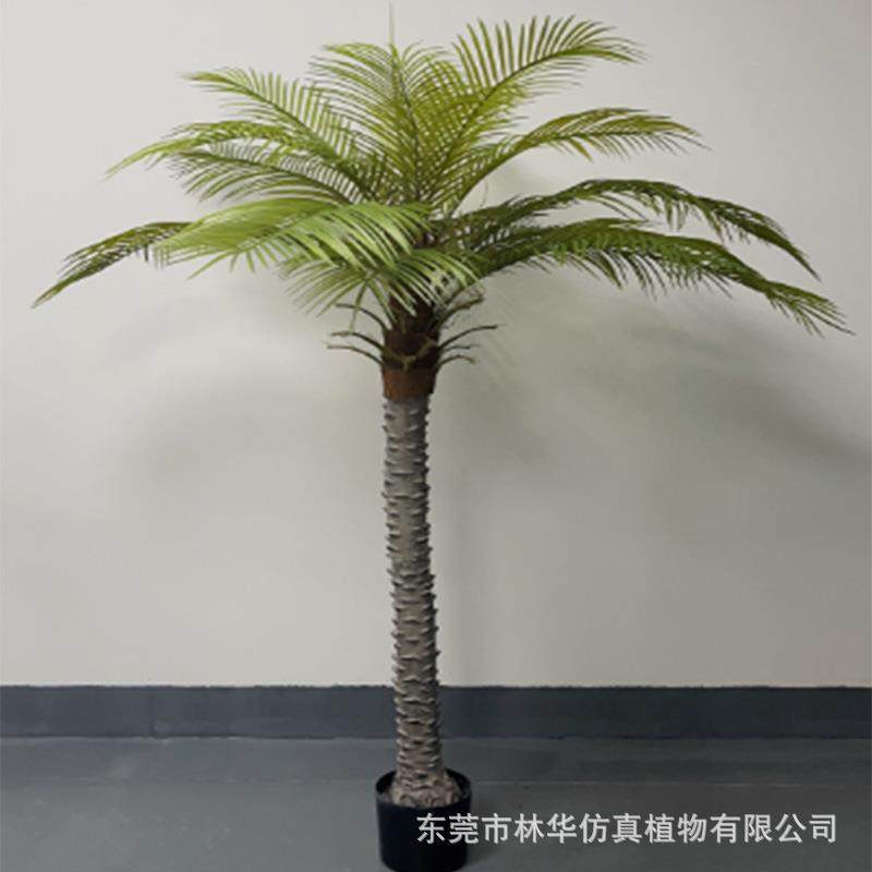 仿真针葵树北欧风仿真绿植盆景园林造景仿真小椰子树,鲜花速递/花卉仿真/绿植园艺,割草机/草坪机,淘宝优惠券,粉丝福利购,淘宝优惠卷