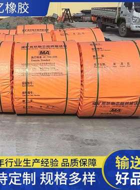 pvc尼龙输送带现货耐热阻燃防火传送带整芯pvg矿用运输帆布输送带