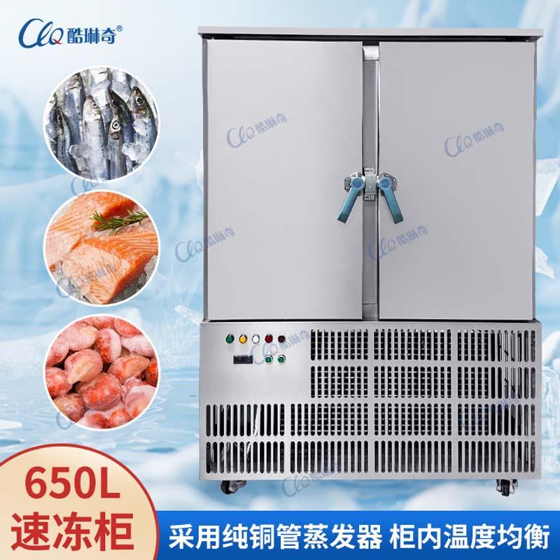 柬埔寨650L大容量速冻柜-40/80度可选低温食品冷冻柜不锈钢冷藏柜