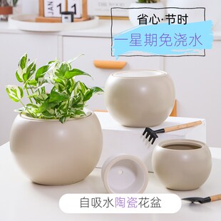 陶瓷自动吸水懒人花盆轻u奢高级感家用水养水培绿萝植物专用器皿