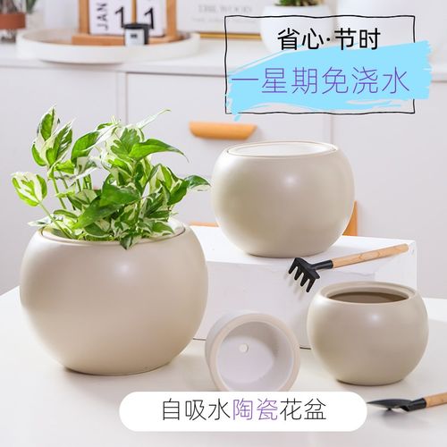 陶瓷自动吸水懒人花盆轻u奢高级感家用水养水培绿萝植物专用器皿