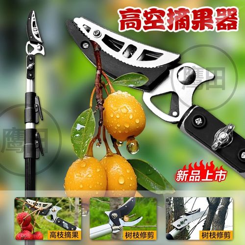 进口摘果器香椿枇杷杨梅采果剪伸缩高空剪摘龙眼神器W多功能高枝