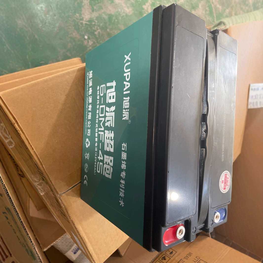 旭派电池12v45ah地摊照明电动车电瓶6-DMF-45铅酸蓄电池三轮车