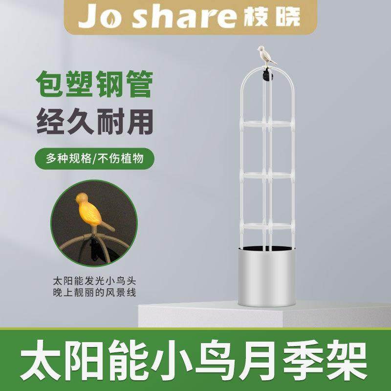 枝晓 跨境优选 太阳能小鸟花架 月季爬藤架 抖音带货