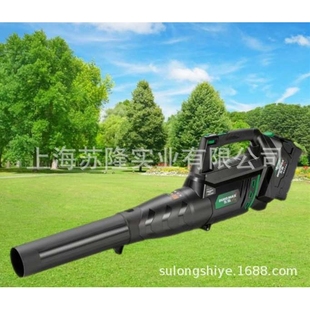 TPBL5805工业鼓风机 锂电吹风机 吹叶机 东脉手提式 Duromax