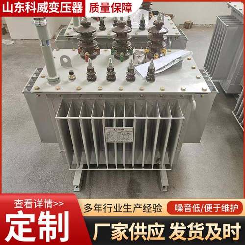 S13-50KVA/80KVA/100KVA/160KVA油浸式变压器三相10/0.4