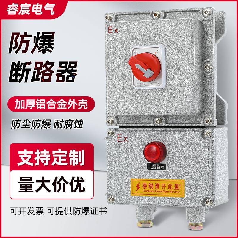 BDZ防爆断路器2P3P4P20A32A漏电防爆开关箱220V380V空开控制箱