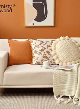 迷雾之森北欧ins风沙发抱枕客厅卧室靠枕简约飘窗靠垫爱丽丝橙色