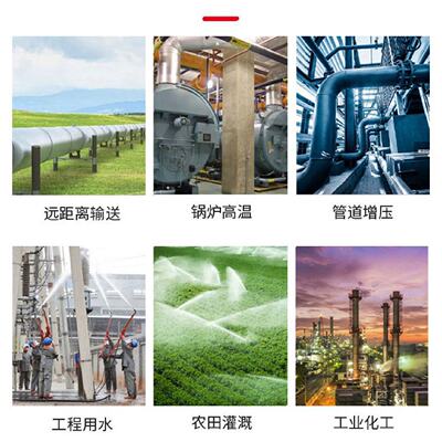 斯特林单双级液环真空泵铸铁316SS不锈钢泵体材质真空泵