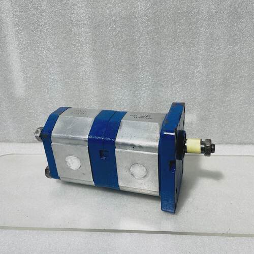 Rodavigo 1LM99DE10R Hydraulic Double Gear Pump