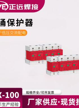 LZX-100电涌保护器浪涌保护器避雷器