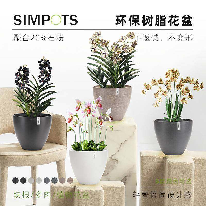 SIMPOTS蛋形环保树脂花盆北欧风简约室内耐用绿植多肉块根盆