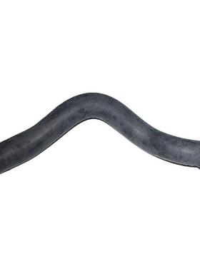 跨境电商 外贸适用 嘉年华13 1.0T 水箱上水管 C1B18B274AC