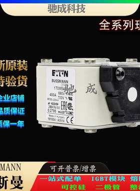 巴斯曼170M5417 170M5418 170M5422 现货直销优价供应 原装熔断器