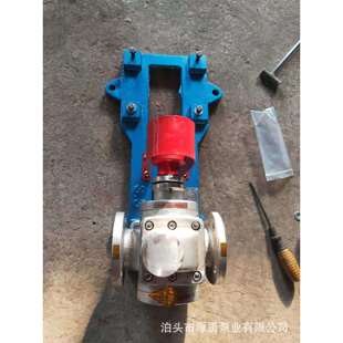 厚勇泵业 304不锈钢齿轮泵KCB齿轮油泵 卧式自吸离心油泵