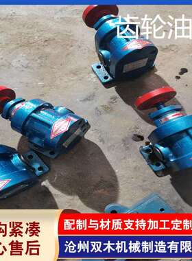 泊双木供应油泵2CY 系列齿轮油泵CB系列过滤机配套齿轮泵现货