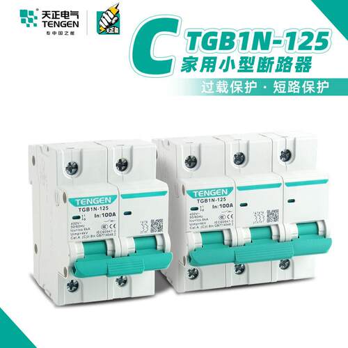 天正TGB1N-125 C63/80/100/125A小型断路器1P2P3P4P空气开关DZ47