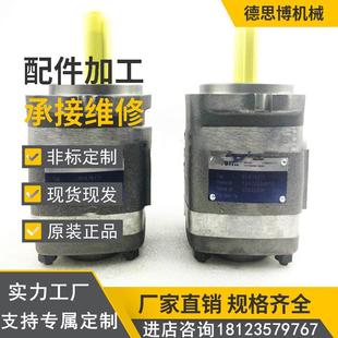 101原装 125 100 VOITH福伊特液压泵齿轮油泵压铸机IPV6