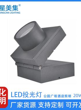 led户外防水公园照树园林亮化RGB七彩照树灯工程亮化20W30W50W