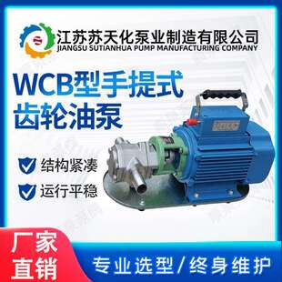 WCB型齿轮油泵 微型手提式节能输油泵 不锈钢材质