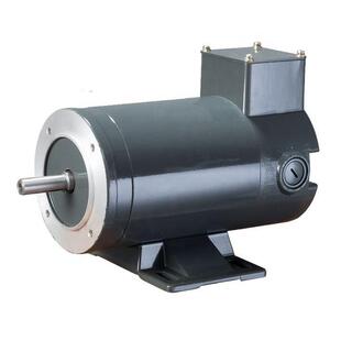 永磁直流电机有刷1hp用于输送带12V 24V 36V 48V 90V 180V 220V