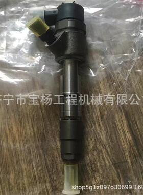 0433172102共轨喷油器0445110529 0445110528喷油嘴总成
