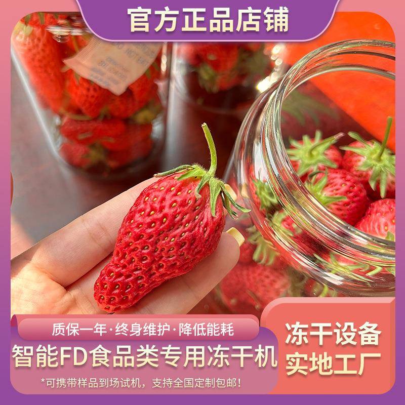 大型商用草莓冻干机果蔬冻干机真空冷冻干燥机FD多用途冻干设备