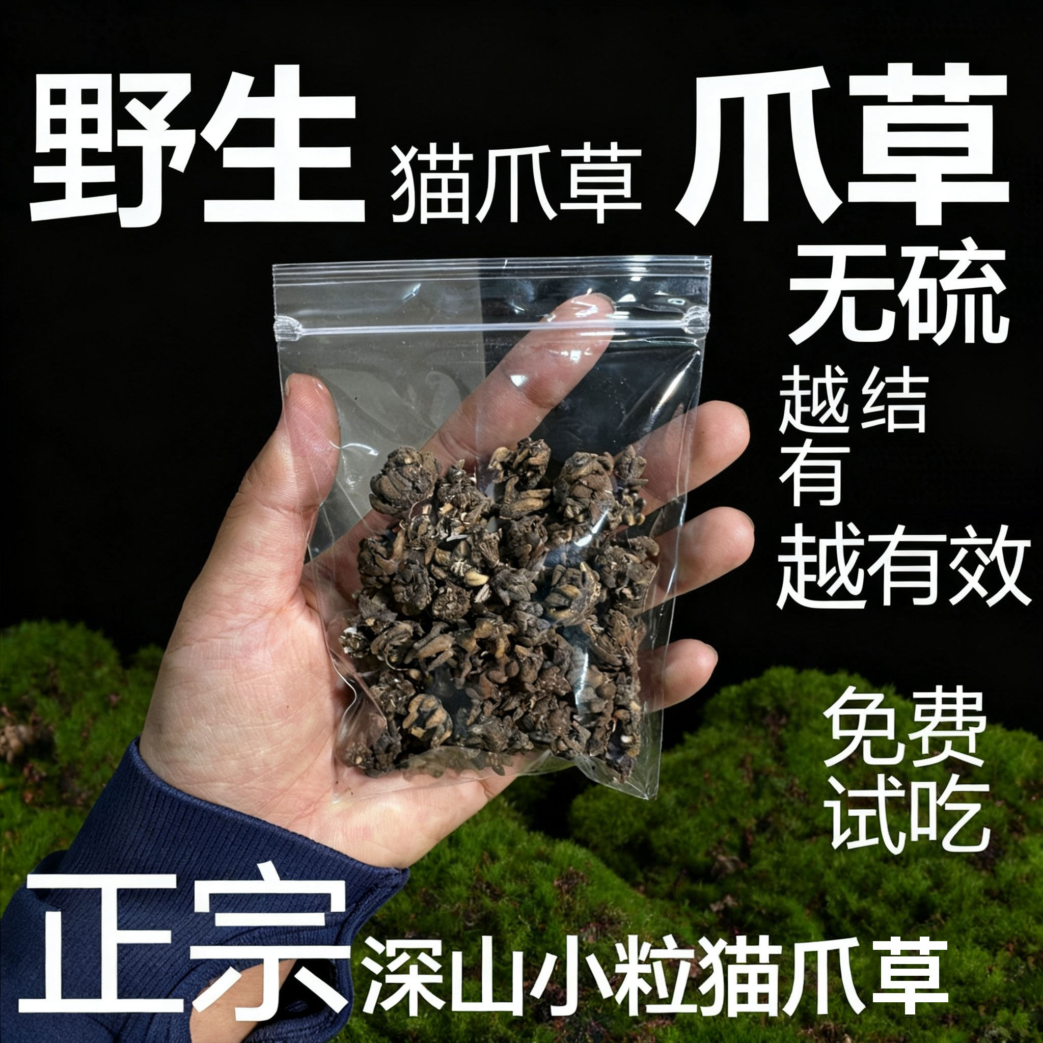 猫爪草原料猫爪草正品猫爪草野生猫爪草新货泡水煲汤姜
