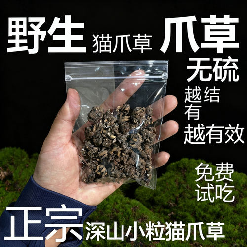 猫爪草原料猫爪草正品猫爪草野生猫爪草新货泡水煲汤姜