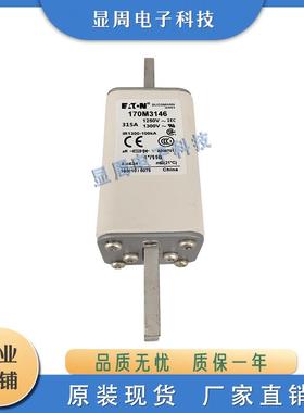 熔断器170M3144 3145 3146 3147 3148 3158 3159 3160 3161 3162