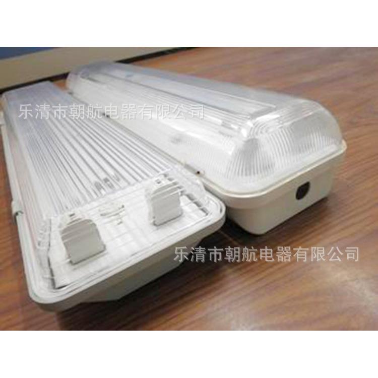 防爆防腐全塑日光灯 BYS三防灯单管双管40W EYD52 BAY51-Q2*36